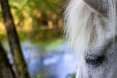 IMG_3754