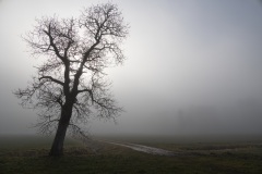 DC55AB65-0DE8-4BDD-A23E-360AA7DBF3E2_1_105_c