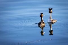 AE7A2513