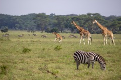 IMG_6877