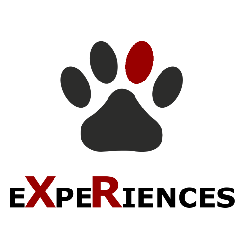 Photos by Paw eXpeRiences